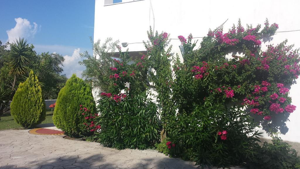 Digkas Apartments Kato Korakiana Luaran gambar